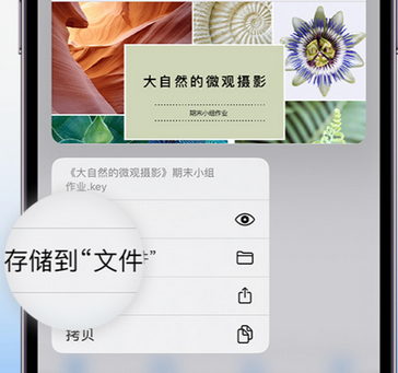 清城apple维修中心分享iPhone文件应用中存储和找到下载文件