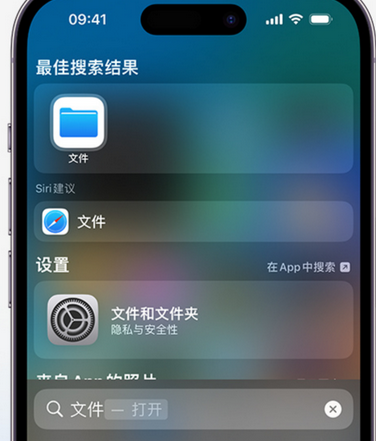 清城apple维修中心分享iPhone文件应用中存储和找到下载文件 