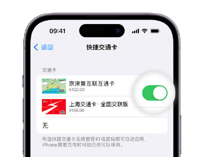 清城apple维修点分享iPhone上更换Apple Pay快捷交通卡手绘卡面 