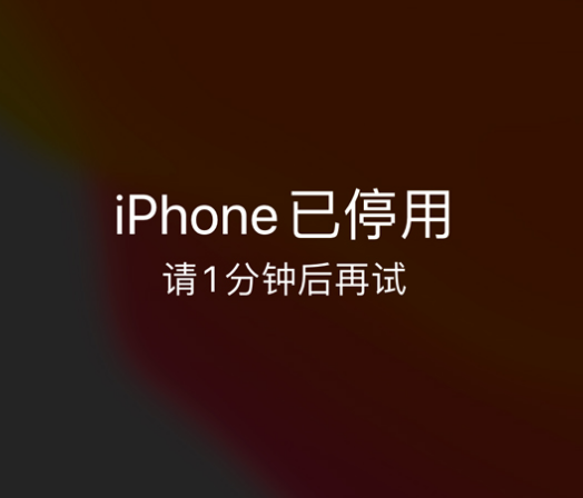 清城苹果手机维修分享:iPhone 显示“不可用”或“已停用”怎么办？还能保留数据吗？ 