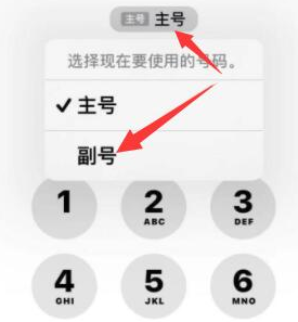 清城苹果14维修店分享iPhone 14 Pro Max使用副卡打电话的方法 