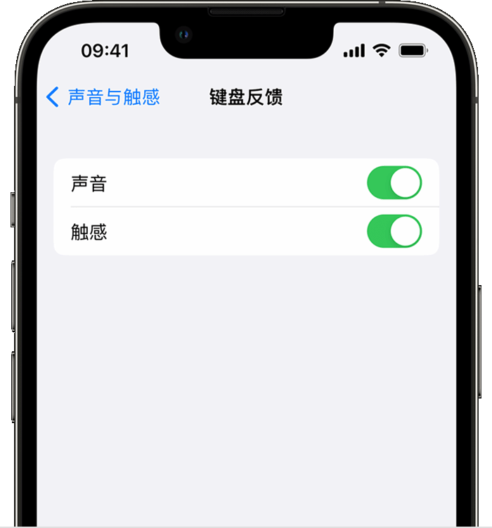 清城苹果14维修分享iPhone 14 系列机型如何开启键盘声音或触感反馈 