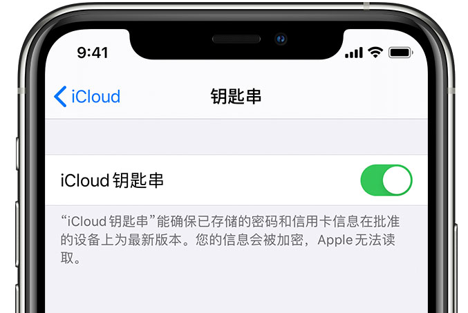 清城苹果手机维修分享在 iPhone 上开启 iCloud 钥匙串之后会储存哪些信息 