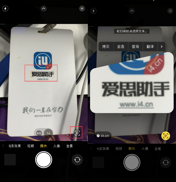清城苹果手机维修分享升级iOS 16后如何通过相机翻译文本 