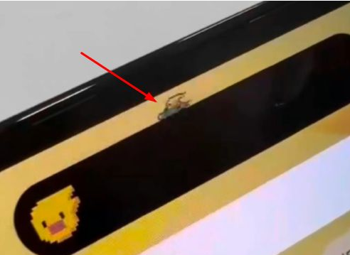 清城苹果14维修分享iPhone 14 Pro Max灵动岛怎么养宠物 