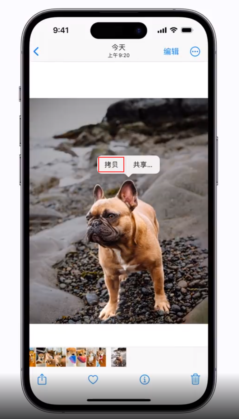 清城苹果手机维修分享 iOS 16 自带一键抠图功能 