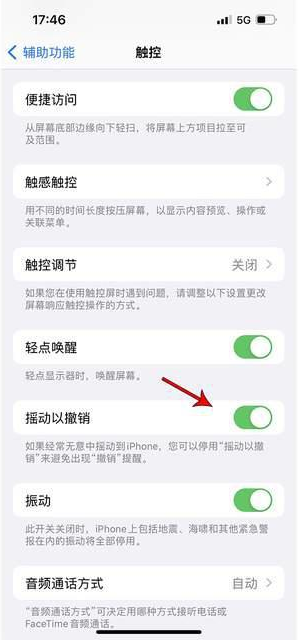 清城苹果手机维修分享iPhone手机如何设置摇一摇删除文字 