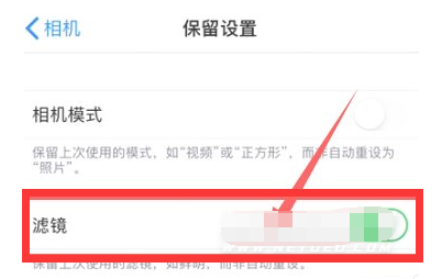 清城苹果13维修分享iPhone13拍照有绿点是怎么回事 