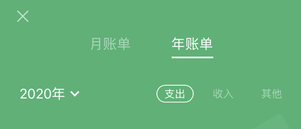 清城苹果手机维修分享如何在 iPhone 上查看支付宝和微信年支出账单 